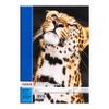 LANDRE A4 Drawing Pad, 20 Sheets, 100 gsm, Perforated, 4 Animal Designs, 10-Pack view 3