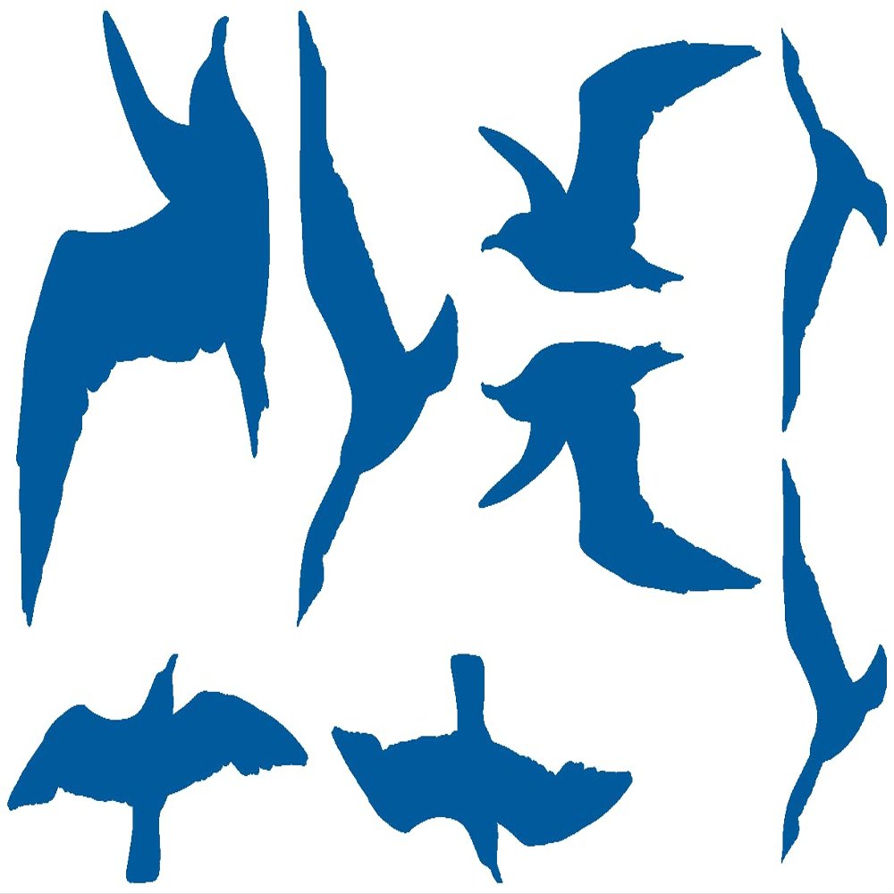 Samunshi Bird Protection Window Sticker Seagull Set 30x20 cm Gentian