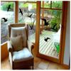 Samunshi Bird Protection Window Sticker Seagull Set 30x20 cm Gentian view 2
