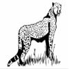 Wandtattooladen Wall Decal – Standing Cheetah, 60 x 51 cm, White view 2