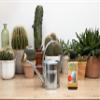 Cactus Focus, 100 ml view 3