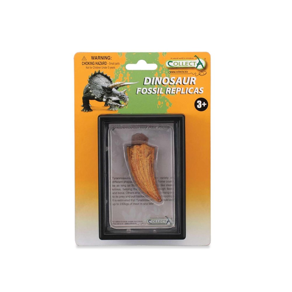 CollectA Tyrannosaurus Rex Side Tooth Boxed Set