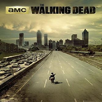 The Walking Dead: Dead City Season 1 Poster + Original tesa Powerstrips