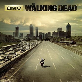 The Walking Dead: Dead City Season 1 Poster + Original tesa Powerstrips