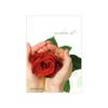 Red Rose with Baby’s Breath and Grasses – XXL Bloom view 2