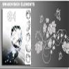 Wall Tattoo Wall Decal Sticker for Living Room, Bedroom or Children's Room, 30 Colors, Wall Quote “Willkommen” wzt20 (Printed Sticker, approx. 20 x 8 cm) view 3