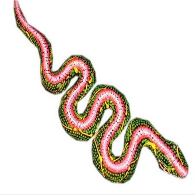 Unbekannt Snake Dot-Paint Wall Art, Green