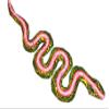 Unbekannt Snake Dot-Paint Wall Art, Green view 1