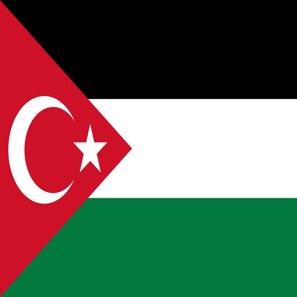 magFlags Flag: XL Gaza-Turkey Solidarity Flag | 120 x 180 cm