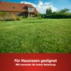 WOLF-Garten Sport & Play Lawn LG 250, 5 kg, for 250 m² view 2