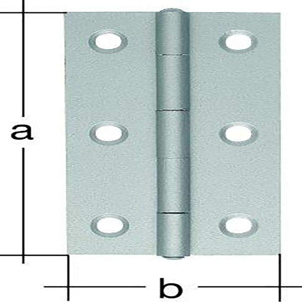Alberts 361181 Hinge | Narrow | Stainless Steel | 64 x 34 mm