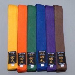 Kaiten Karate Belt, Budo Belt, Cotton, Purple (230)