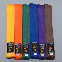 Kaiten Karate Belt, Budo Belt, Cotton, Purple (230)