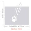 GRAZDesign Paw Print Privacy Window Film, Translucent Frosted Decorative Film, Opaque, 100 x 57 cm view 3