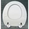 ACB Gold Line Duraplus Duravit-Compatible Toilet Seat Kit view 3