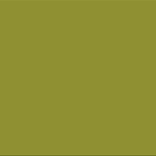 LifeColor Paint UA239 FS *34257 4BO Var.