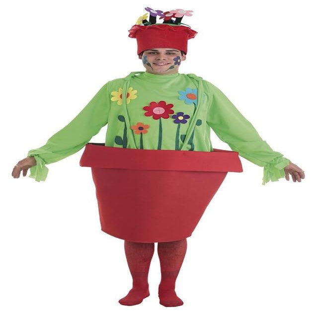 LLOPIS Adult Flower Pot Costume for Men