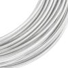 20 m PVC-Coated Wire Rope, 1.6/3 mm view 2