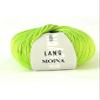 MOINA 16 - Light Green view 1