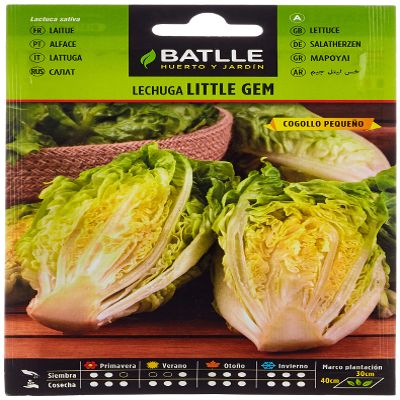 Batlle Vegetable Seeds - Little Gem Lettuce (800 seeds)