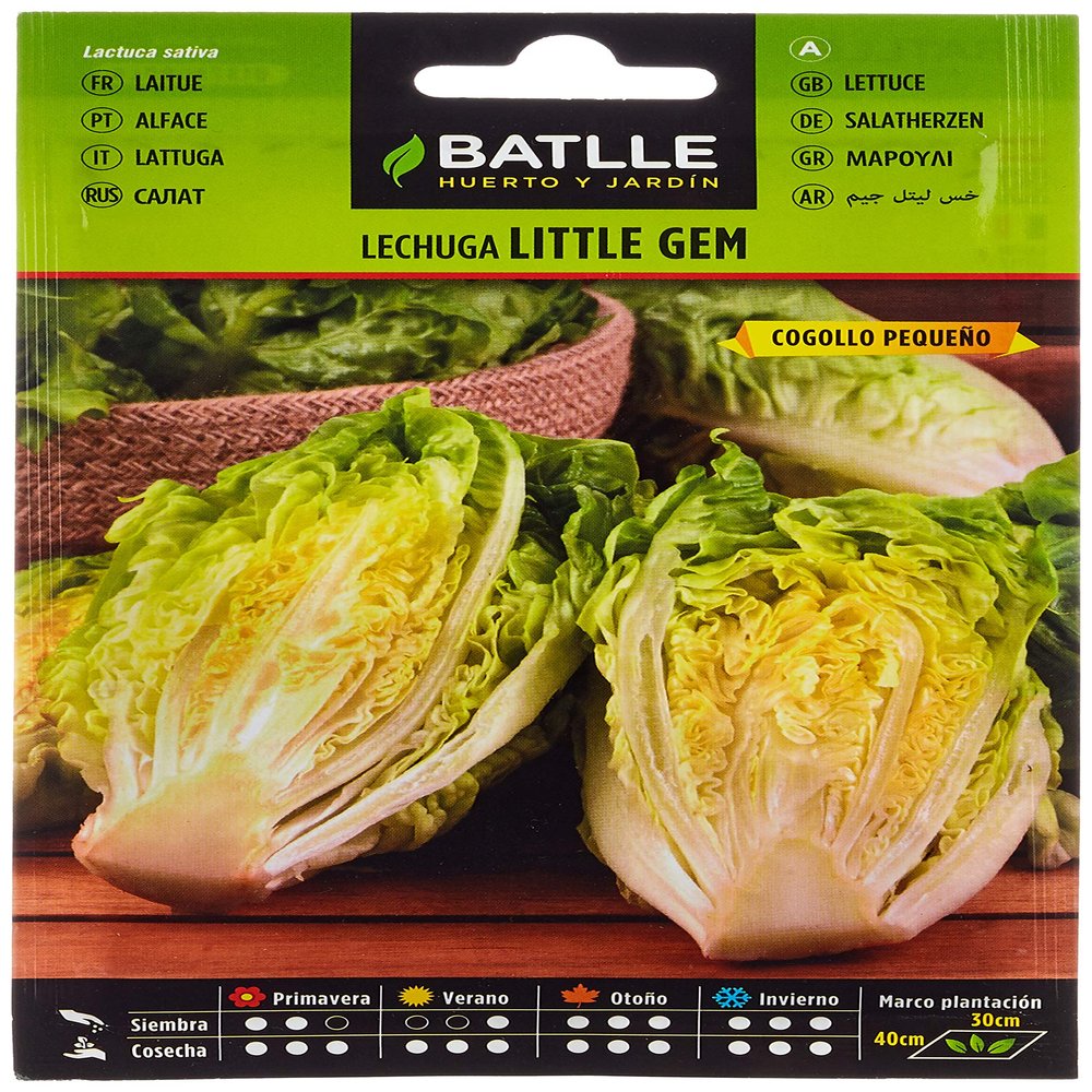 Batlle Vegetable Seeds - Little Gem Lettuce (800 seeds)