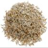 Batlle Vegetable Seeds - Little Gem Lettuce (800 seeds) view 4
