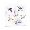 ARTTOR Glass Wall Art Print 40 x 40 cm, Nature, Pastel – 3066 view 1