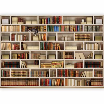 murando Non-Woven Library Photo Wallpaper, 400 x 280 cm, Bedroom, Living Room