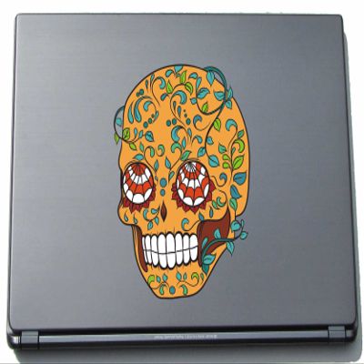 pinkelephant Laptop Skin Frankly 011 – Crazy Skull – 150 x 120 mm Sticker