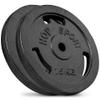 Hop-Sport Cast Iron Weight Plate Set 30 kg (2 x 15 kg), 31 mm Hole Diameter, for Standard 30 mm Barbell Bars view 1