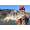 Cebbra The Worm Soft Lure, Salt N Pepper, 15 cm view 4