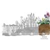 Mimulus ringens Monkey Flower, Violet, Hardy, Well-Rooted 9 × 9 cm Pot view 2