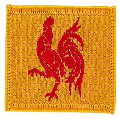 Akachafactory Embroidered Wallonia Flag Iron-On Patch