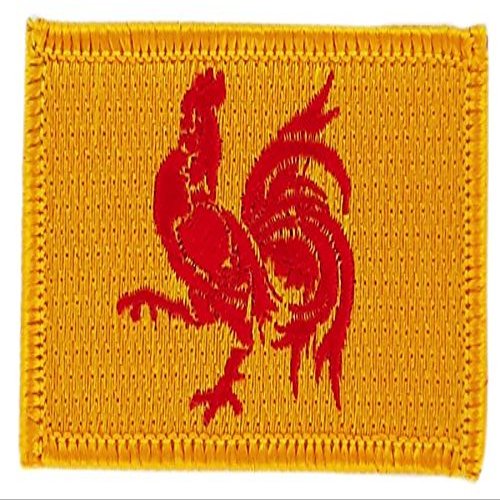 Akachafactory Embroidered Wallonia Flag Iron-On Patch