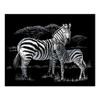 Royal Brush Silver Foil Engraving Kit, 8 x 10 in, Zebras view 2