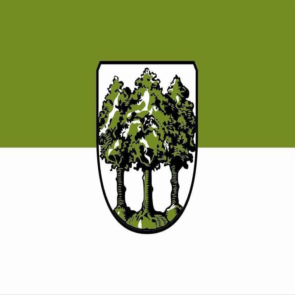 U24 Hamburg Bergedorf Flag, Boat Flag, Premium Quality, 150 x 250 cm