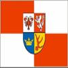 U24 Spree-Neiße District Boat Flag, Premium Quality, 150 x 250 cm view 1