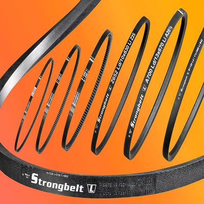 PTS-Strongbelt Profile 8 V-Belt, Inside Length 1020 mm, Belt Length: 1040 mm