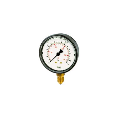 RIEGLER 102078-706-K Glycerin Pressure Gauge, Plastic, G 1/4 Bottom, 0–6.0 bar, 1 pc