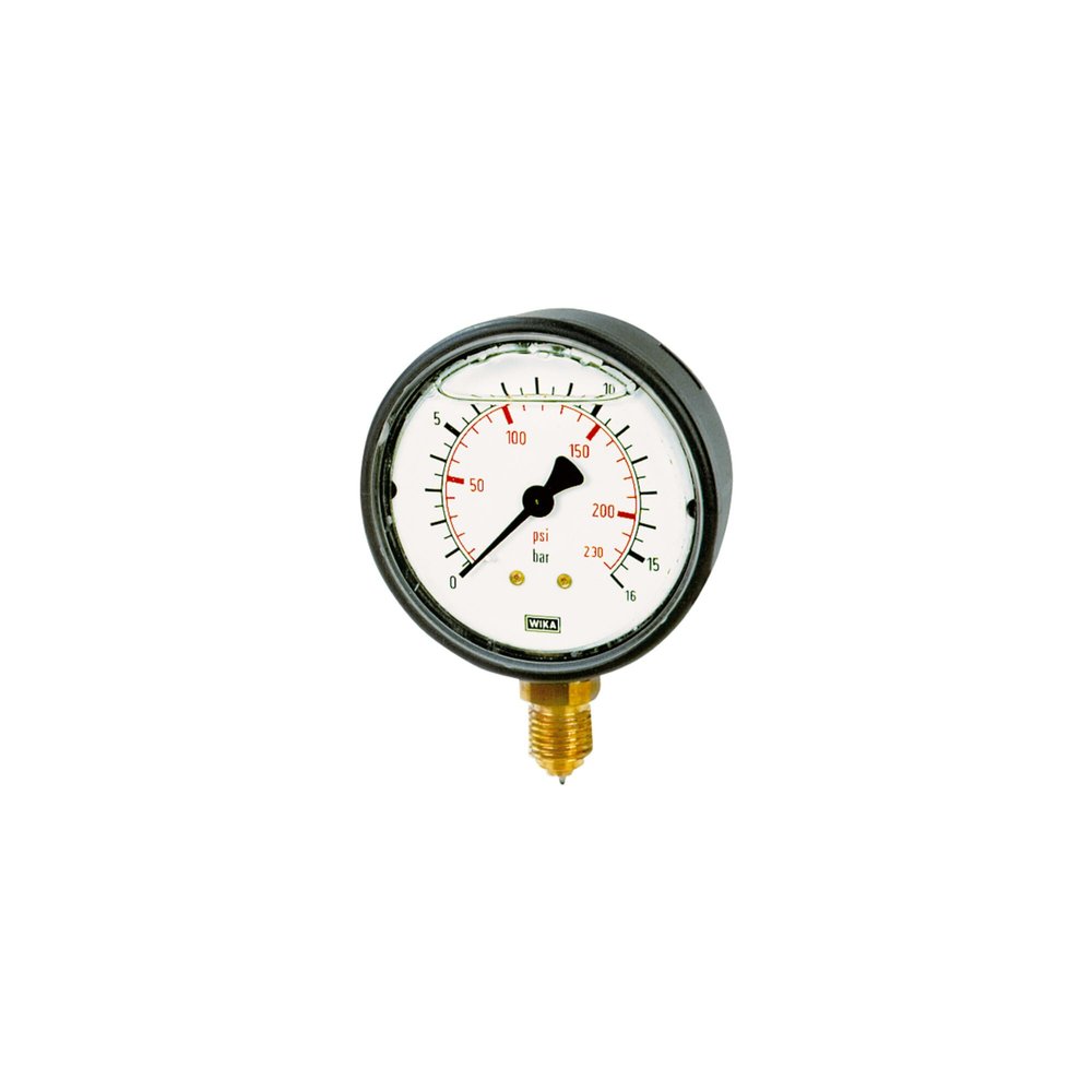 RIEGLER 102078-706-K Glycerin Pressure Gauge, Plastic, G 1/4 Bottom, 0–6.0 bar, 1 pc
