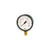 RIEGLER 102078-706-K Glycerin Pressure Gauge, Plastic, G 1/4 Bottom, 0–6.0 bar, 1 pc view 1