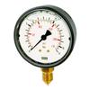 RIEGLER 102078-706-K Glycerin Pressure Gauge, Plastic, G 1/4 Bottom, 0–6.0 bar, 1 pc view 2