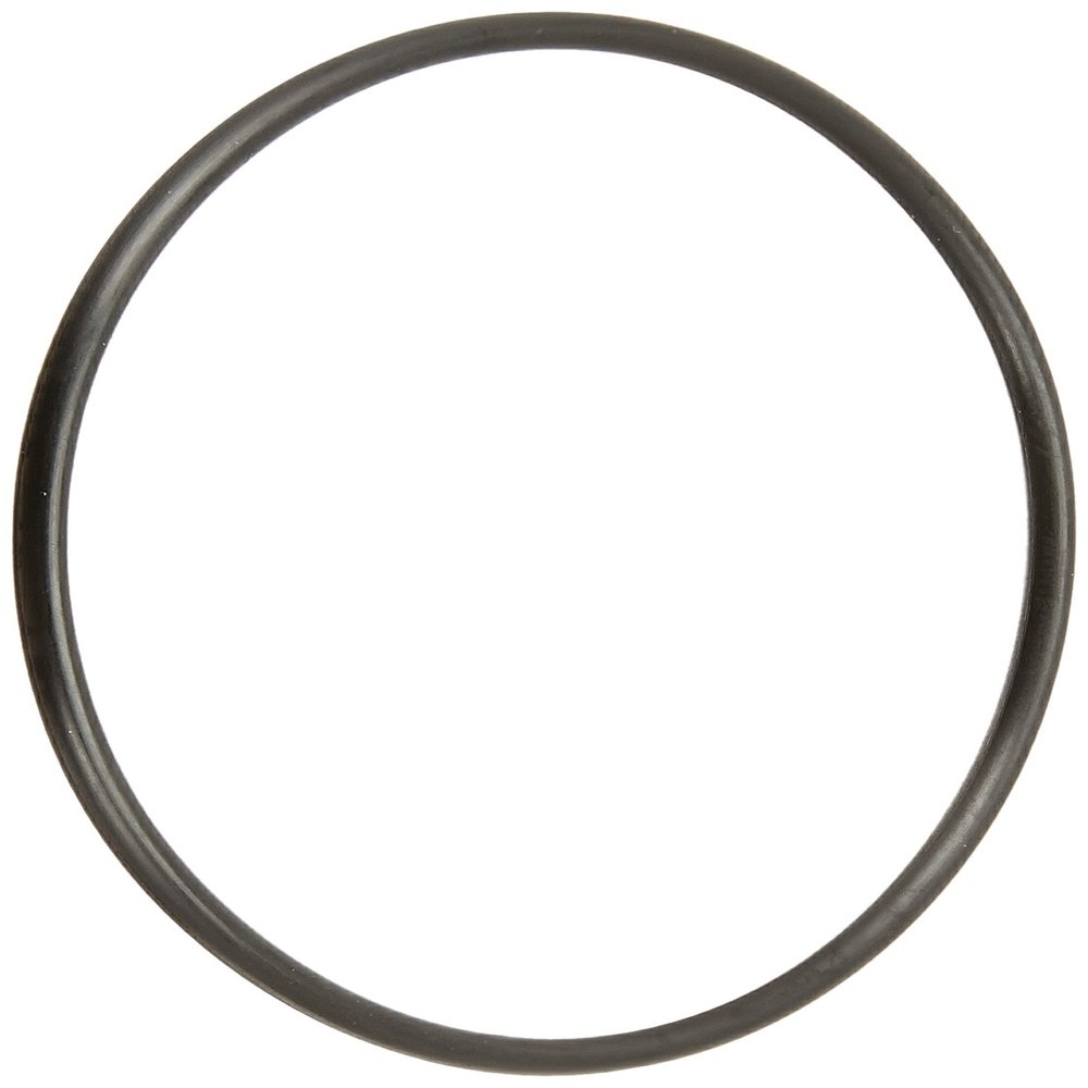 Hitachi 885665 Replacement O-Ring for NT65 M2