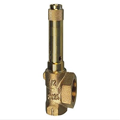 RIEGLER 105580-221.05-1.0 Angle Safety Valve, Liquids, G 1, Set Pressure 1 bar, 1 pc.