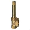 RIEGLER 105580-221.05-1.0 Angle Safety Valve, Liquids, G 1, Set Pressure 1 bar, 1 pc. view 1
