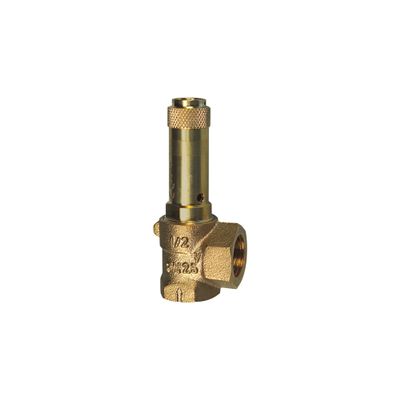RIEGLER 105535-221.03-3.5 Angle Safety Valve, Fluids, G 1/2, Set Pressure 3.5 bar