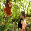 Keeleco SE6116 Orangutan Plush Toy, Approx. 25 cm, Made from Recycled Materials, Embroidered Cotton Eyes view 2