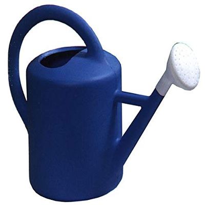 PASCOR 9 L Watering Can