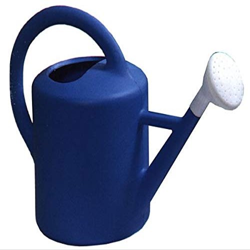 PASCOR 9 L Watering Can