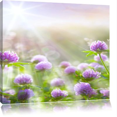 Pixxprint Purple Clover Blossoms in Sunshine, 120 x 80 cm Canvas Print, Ready-Stretched, Not a Poster